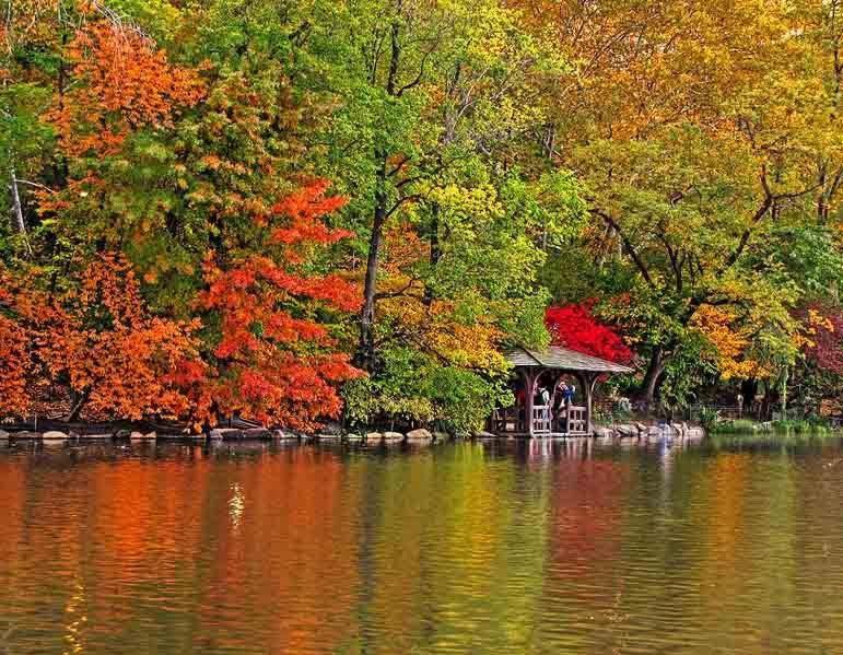 Central Park Bucharest Bilik gambar