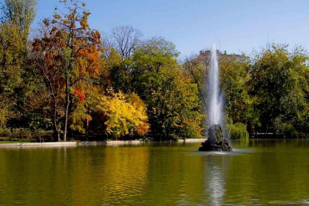 Central Park Bucharest Bilik gambar