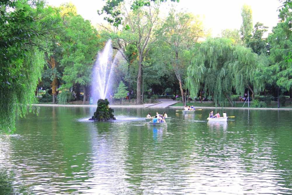 Central Park Bucharest Bilik gambar