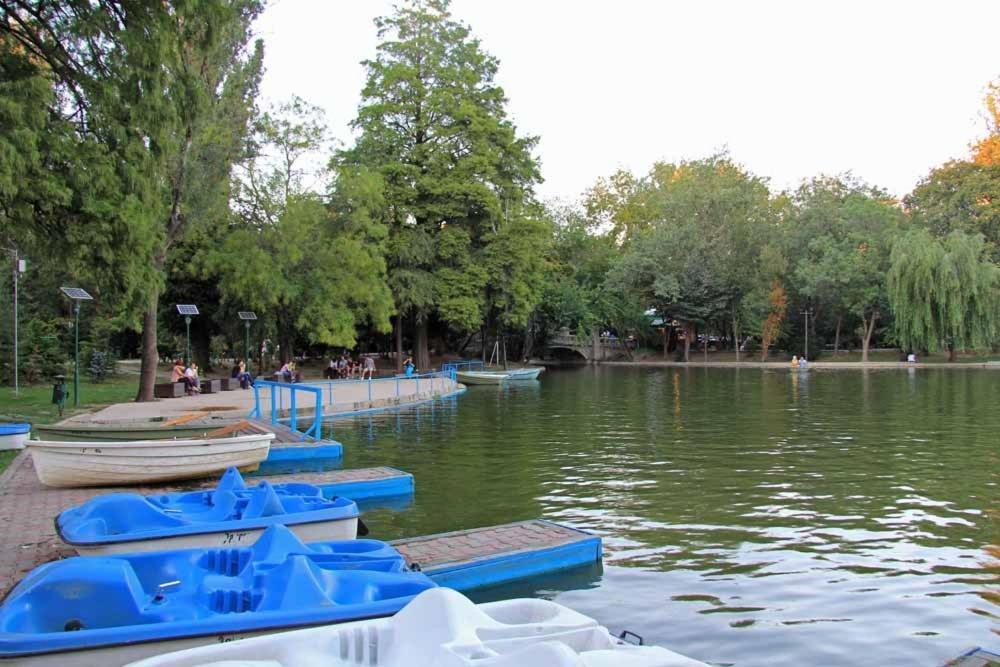 Central Park Bucharest Bilik gambar