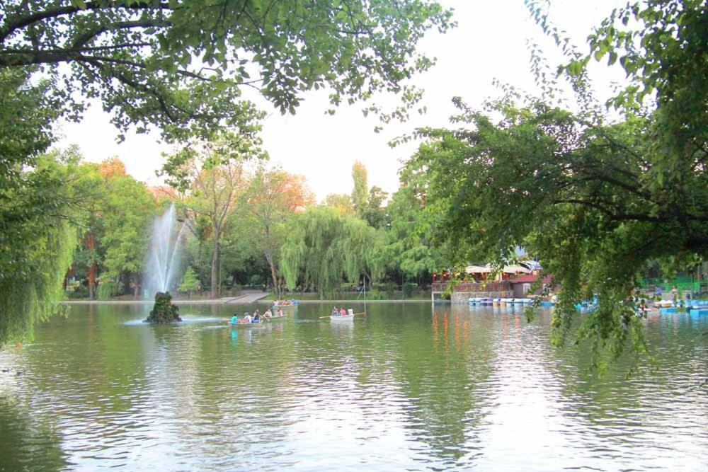 Central Park Bucharest Bilik gambar