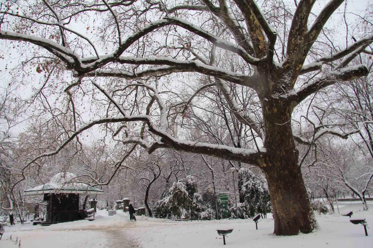 Central Park Bucharest Luaran gambar